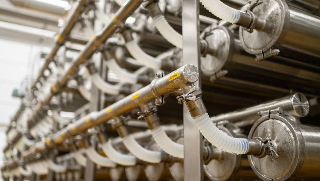 De gennemsigtige rør gør mejeriarbejderne i stand til at følge med i, hvor koncentreret væsken er blevet. Jo mørkere jo mere koncentreret.